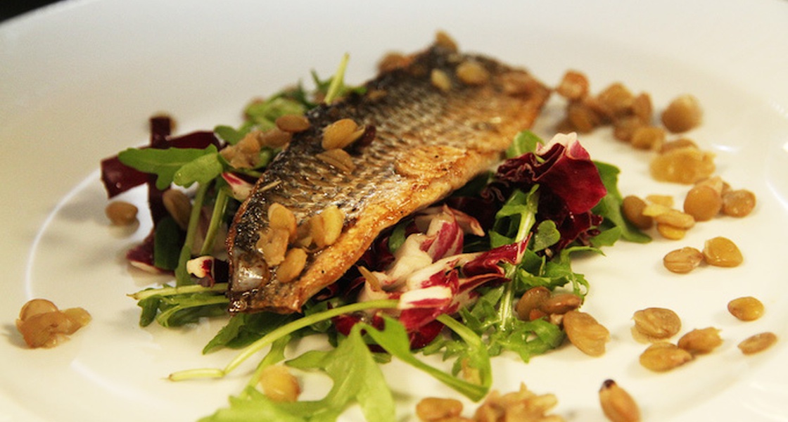 File prokljanskog cipla na posteljici od leće