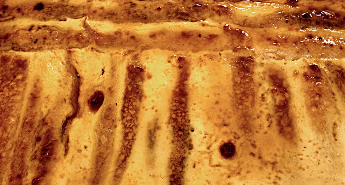 Zapečene palačinke sa svježim sirom