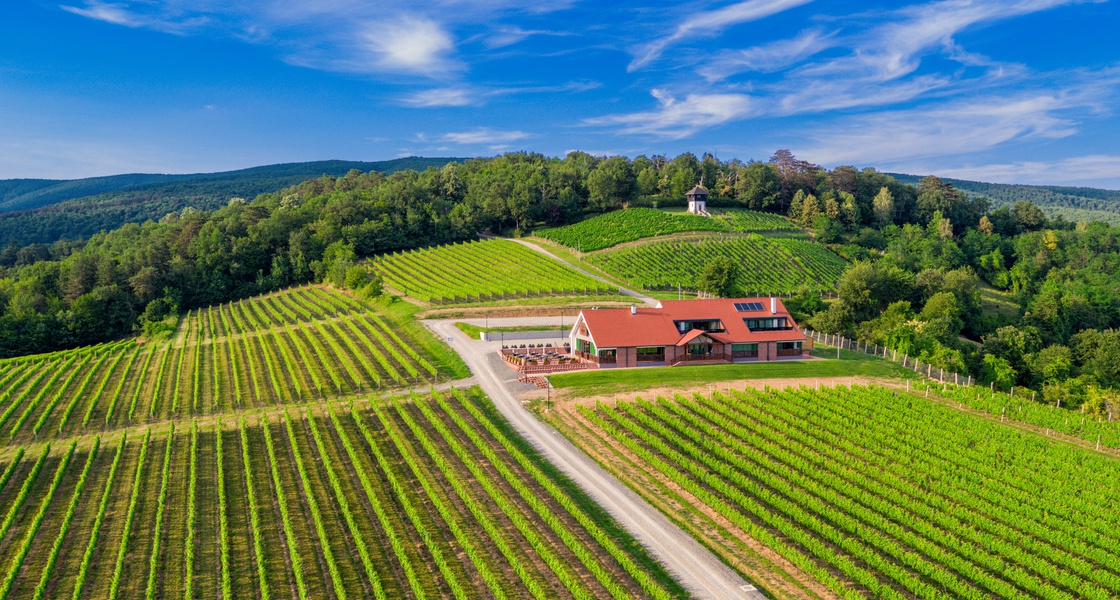 SLAVONSKA KUĆA VINKOMIR