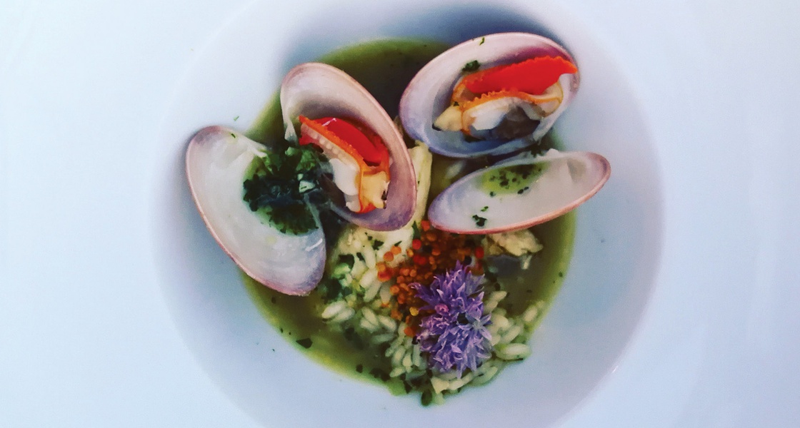 Zeleni bouillabaisse